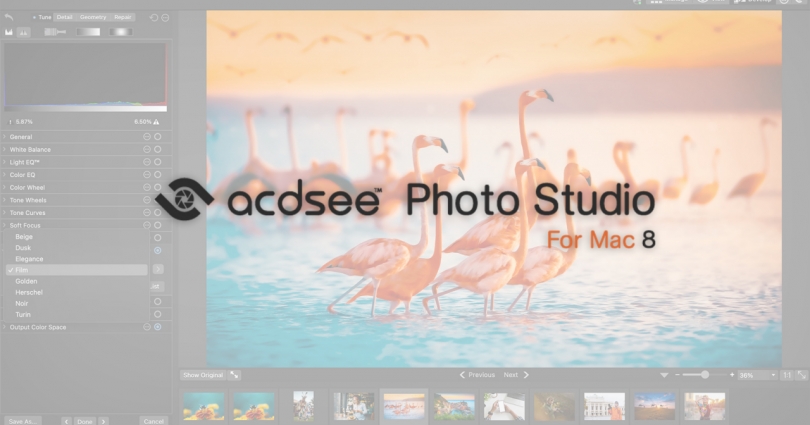 ACDSee  Photo Studio  Apple M1