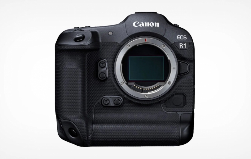   Canon EOS R1: 100        