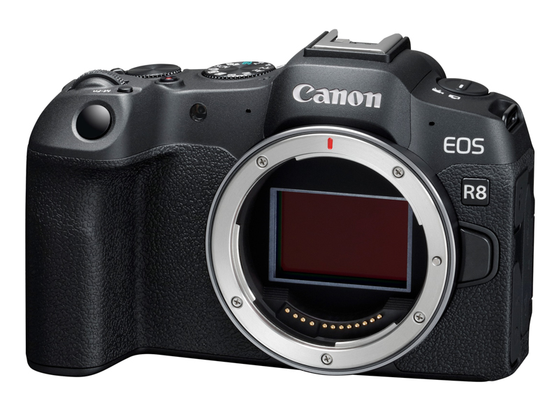 Canon EOS R8     EOS R6 II   