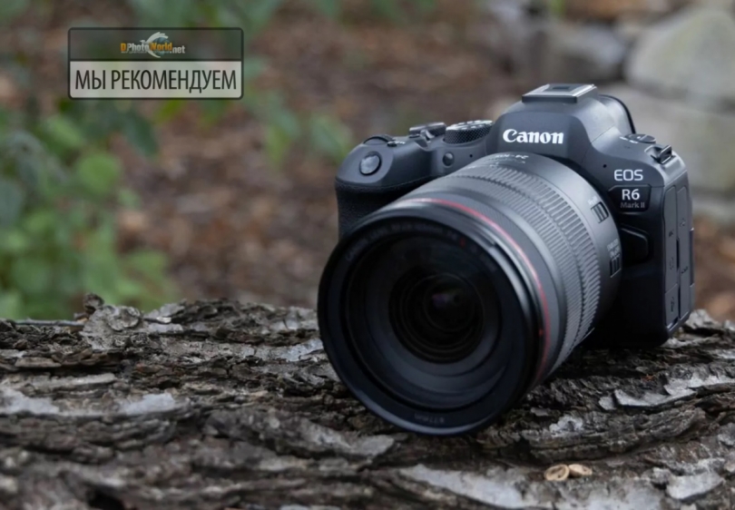   Canon EOS R6 Mark II   1.1.1