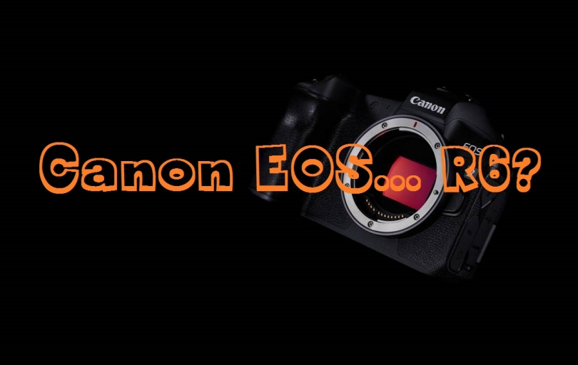     -   ! Canon  EOS R6?