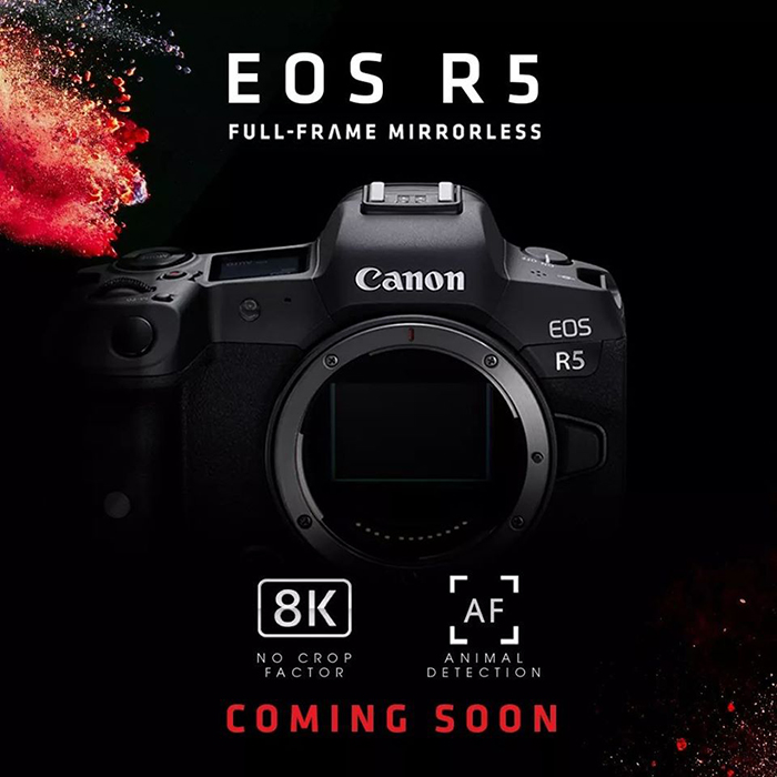 Canon   EOS R5