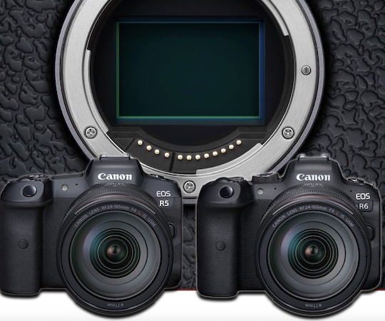 Canon    EOS R5  R6