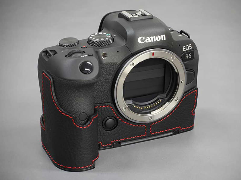     Canon EOS R6