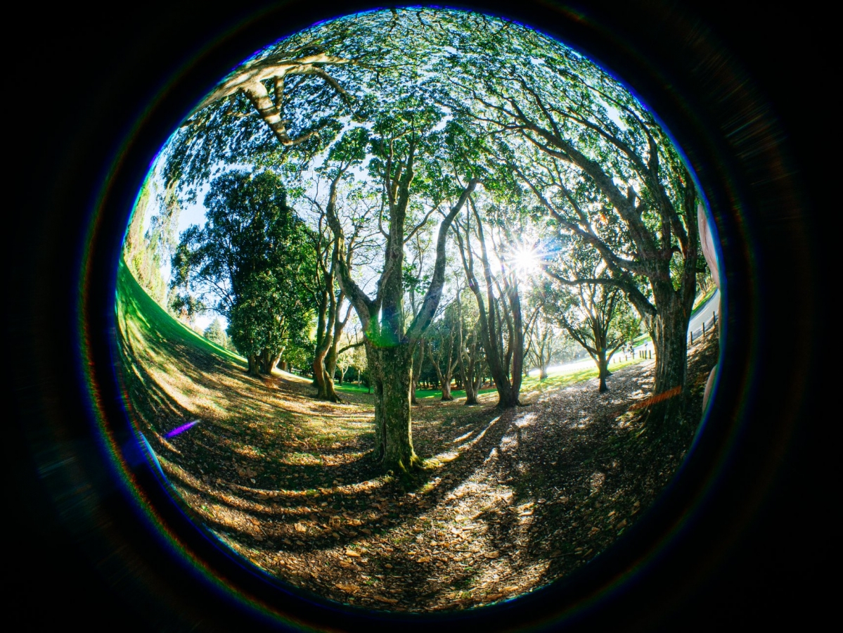 Fisheye примеры фотографий